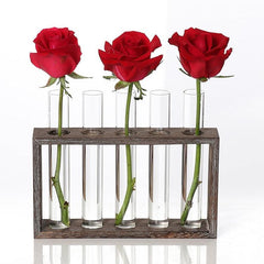 Elegant Hydroponic Glass Test Tube Vase for Creative Coffee Shop and Home Decor