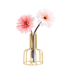 Elegant Wrought Iron Hydroponic Glass Vase for Dried Flowers Display