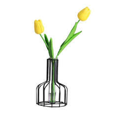 Elegant Wrought Iron Hydroponic Glass Vase for Dried Flowers Display