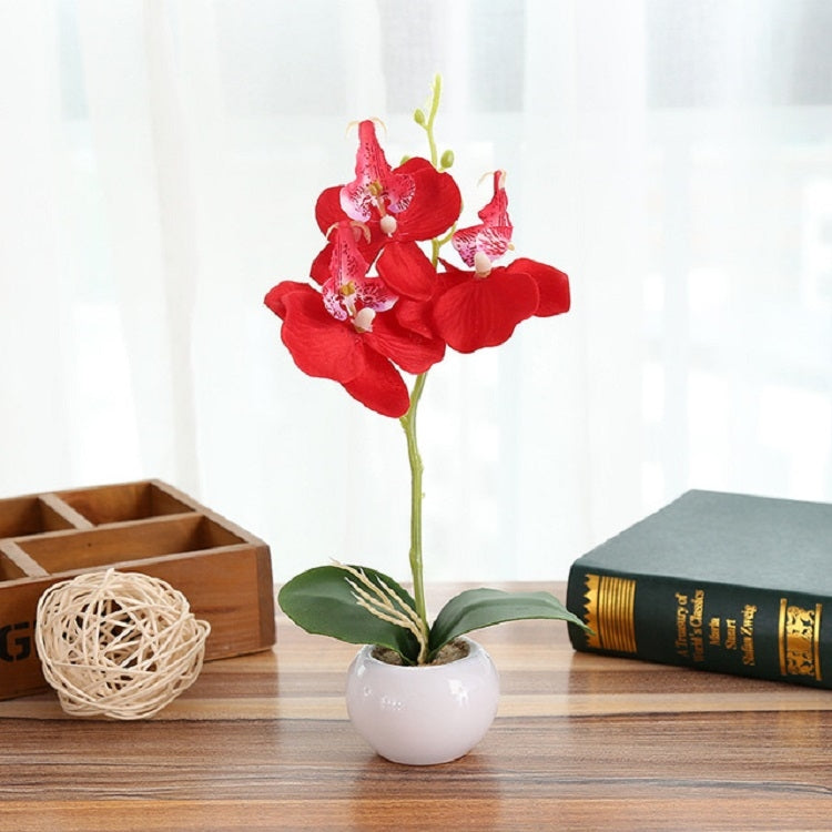 Ceramic Phalaenopsis Bonsai Trio in Decorative Round Pot - Perfect for Home and Event Decor