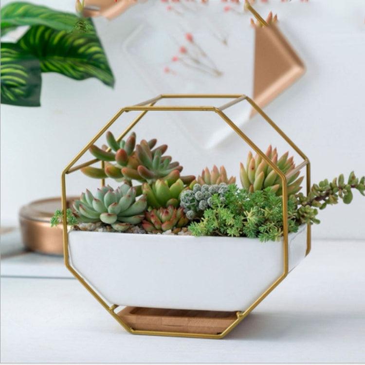 Elegant Octagonal Geometric Wall-Mounted Succulent Display with Bamboo Base and Iron Frame