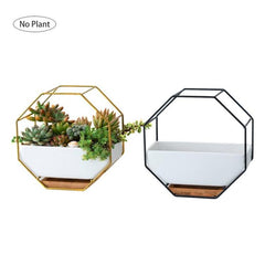 Elegant Octagonal Geometric Wall-Mounted Succulent Display with Bamboo Base and Iron Frame