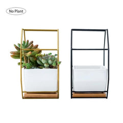 Elegant Octagonal Geometric Wall-Mounted Succulent Display with Bamboo Base and Iron Frame