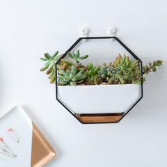 Elegant Octagonal Geometric Wall-Mounted Succulent Display with Bamboo Base and Iron Frame