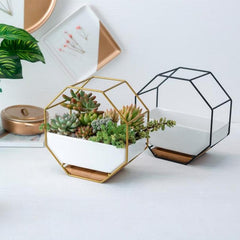 Elegant Octagonal Geometric Wall-Mounted Succulent Display with Bamboo Base and Iron Frame