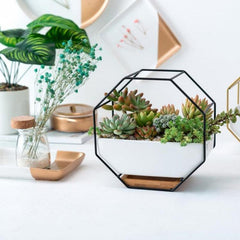 Elegant Octagonal Geometric Wall-Mounted Succulent Display with Bamboo Base and Iron Frame