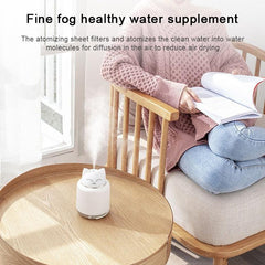 Cute Animal Themed USB Humidifier and Night Light for Home Bedroom