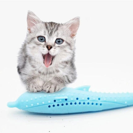 Happy gray kitten playing with Catnip-Infused Silicone Dolphin Toy for Daily Cat Play at Home, vented holes release catnip scent