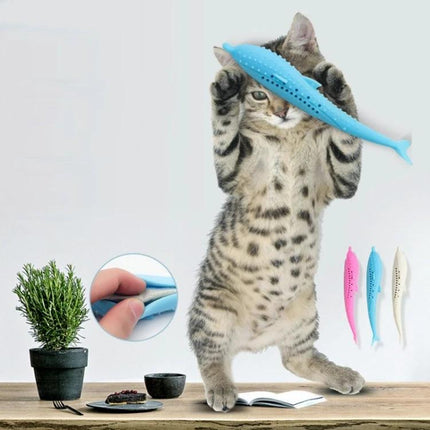 Catnip-Infused Silicone Dolphin Toy for Daily Cat Play at Home - kitten playing with vented blue silicone dolphin infused with catnip
