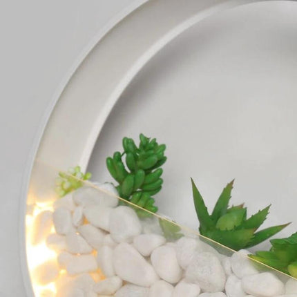 Decorative Wall Lamp for Bedside and Living Room Settings showing mounted round lamp with pebbles and succulents, soft ambient reading light