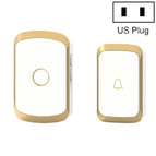 US Plug / Golden