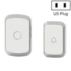 US Plug / Silver