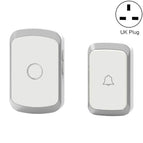 UK Plug / Silver