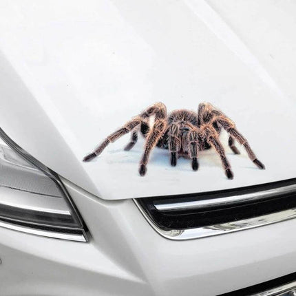 Decorative Scratch Cover Car Body Sticker in Black Spider Design applied on white car hood to conceal scratches and add 3D spider effect