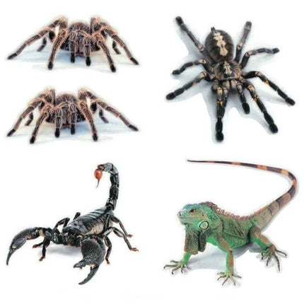 Decorative Scratch Cover Car Body Sticker in Black Spider Design - realistic spider, scorpion and lizard decal set to hide car scratches