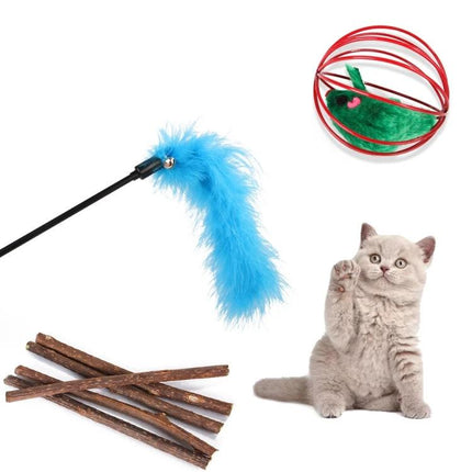 Interactive cat toys for daily home play and entertainment – mixed set with feather wand, bell ball, catnip sticks and playful kitten