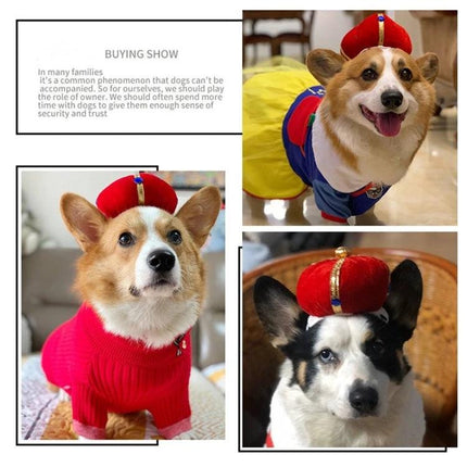 Fun Crown Hat for Cats and Dogs During Playtime Events on corgis wearing soft gold velvet crown hats for playful photo props