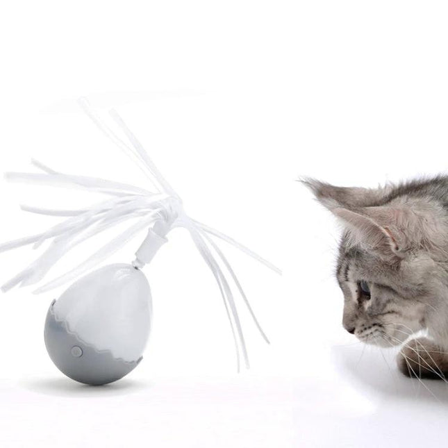 Engaging Tumbler Toy for Cats During Home Playtime showing cat batting an automatic timing tumbler toy