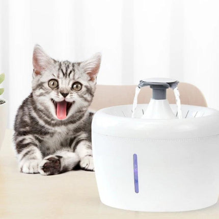 Daily Pet Water Dispenser for Home Hydration Needs with playful kitten drinking from quadruple-filter fountain