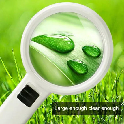 Handheld Magnifying Glass with LED Light for Elderly Reading - White handheld magnifier showing leaf detail with LED for easy reading