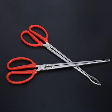 Rice Eel Clip Tongs For Crabs And Lobsters 38/52/62 Cm | Syndmart