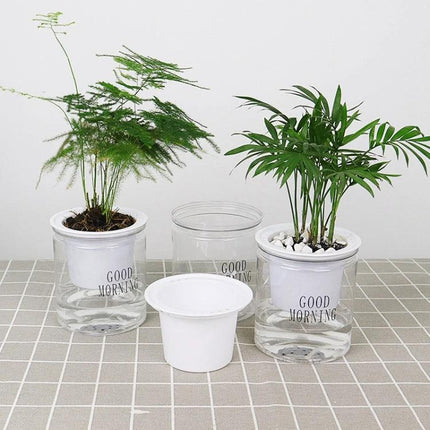 Automatic Water Absorption Hydroponic Pot Transparent For Succulents