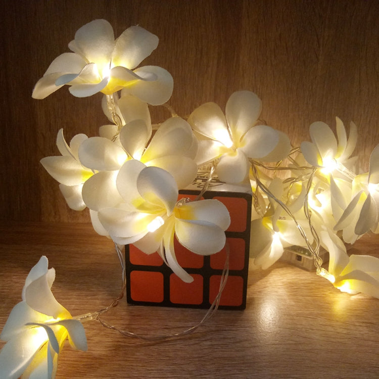 Guirnalda de luces LED con forma de frangipani, 1,5 m, 10 LED, funciona con pilas, color blanco cálido, creativa, para bricolaje, para fiestas, eventos, decoración de dormitorio