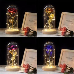 Illuminated Rose Glass Dome Decor for Romantic Occasions