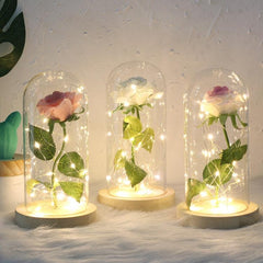 Illuminated Rose Glass Dome Decor for Romantic Occasions