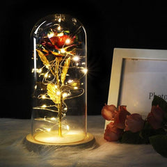 Illuminated Rose Glass Dome Decor for Romantic Occasions