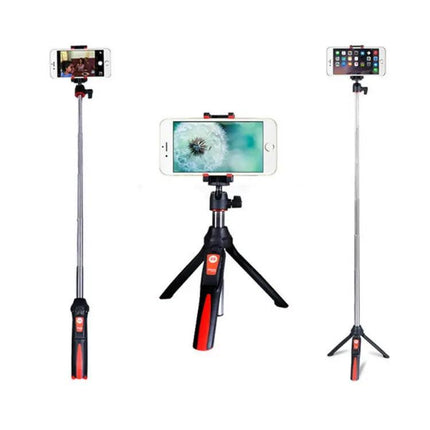 Benro Tripod for Capturing Daily Moments with Friends