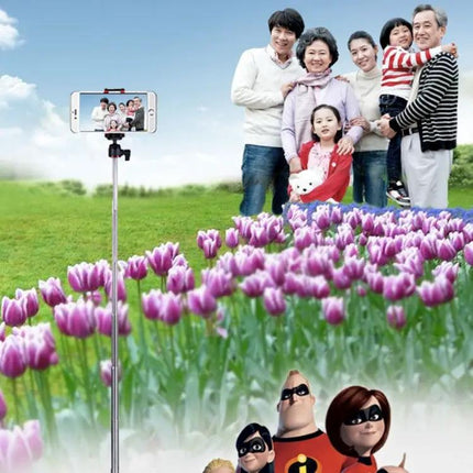 Benro Tripod for Capturing Daily Moments with Friends