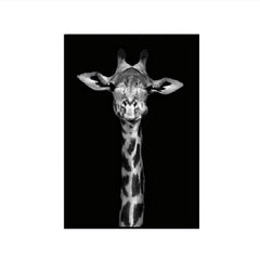 Elegant Black and White Animal Canvas Art for Living Room or Study - Unframed Decor