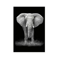 Elegant Black and White Animal Canvas Art for Living Room or Study - Unframed Decor