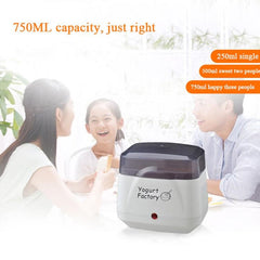 Multifunctional 110V-220V Automatic Yogurt Maker and Natto Fermentation Machine with CN Plug