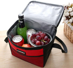 Insulated Travel Lunch Bag for Outdoor Leisure and Picnics