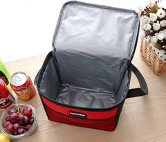 Insulated Travel Lunch Bag for Outdoor Leisure and Picnics