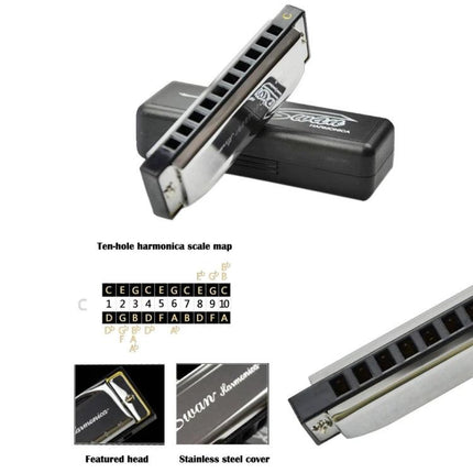 Swan Harmonica for Beginners' Everyday Music Sessions - ten-hole stainless steel harmonica with case for practice