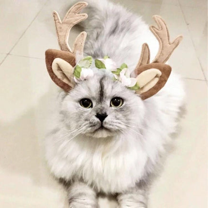 Christmas Antler Headband for Pets During Holidays on fluffy gray cat with adjustable elastic cotton band, festive pet costume for photos and gatherings