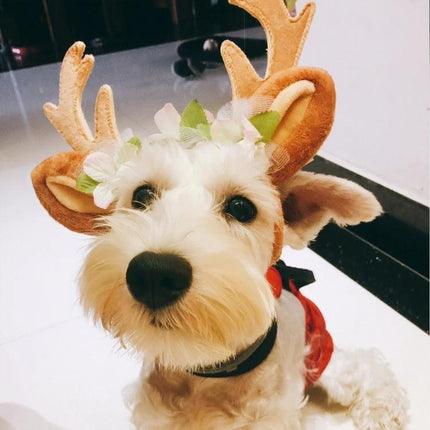 Christmas Antler Headband for Pets During Holidays on small white dog wearing cotton antlers and floral trim, elastic-adjust fit for festive photos