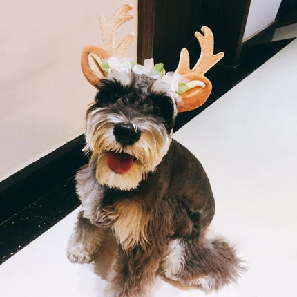 Christmas Antler Headband for Pets During Holidays on happy small dog wearing adjustable cotton antler headband