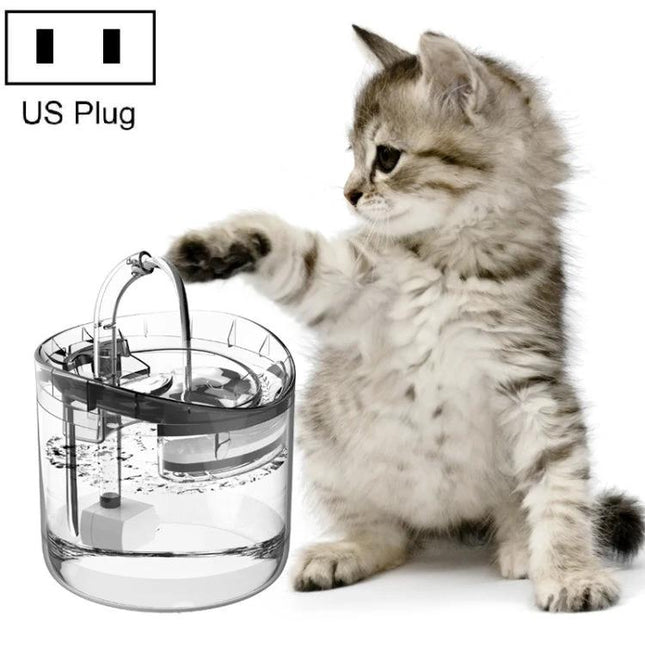 Essential Water Dispenser for Pets' Daily Home Hydration - kitten pawing at clear automatic pet water dispenser with US plug