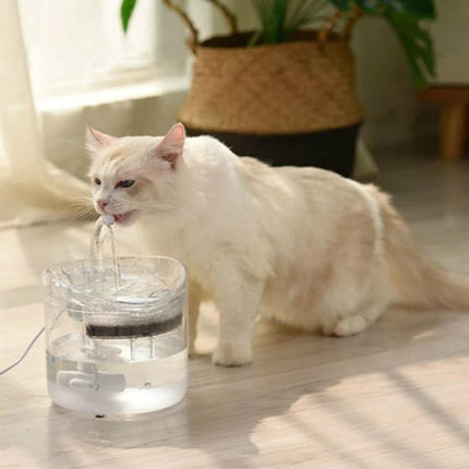 Essential Water Dispenser for Pets' Daily Home Hydration showing a white cat drinking from a clear tabletop pet water dispenser in a sunlit room
