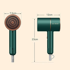 DAI HEART BG-F01 Silent Negative Ion Hair Dryer for Home and Dorm Use, CN Plug