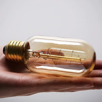 Vintage Style Edison Bulb for Everyday Household Lighting in hand, transparent glass and warm filament for cozy living room ambience