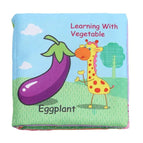 Vegetable / Vehicle