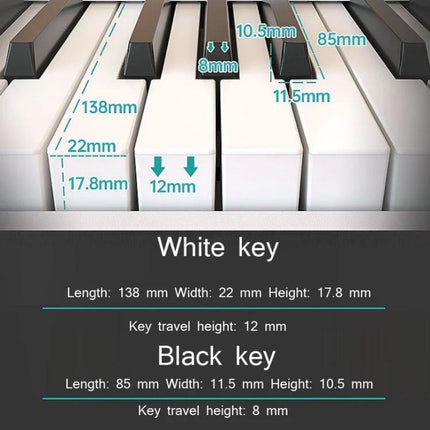 Wersi Electronic Piano for Daily Music Practice at Home compact keyboard key dimensions diagram with white and black key measurements