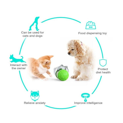 Interactive Balance Toy for Pets During Home Playtime showing a cat and dog batting a food-dispensing wobble ball to relieve boredom