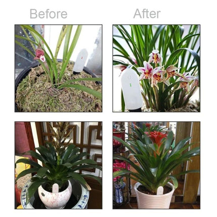 Easy-to-Use Soil Moisture Meter for Plants and Gardening Care placed in potted plants showing before and after plant health improvements