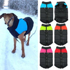 Stylish Waterproof Winter Jacket for Small Dogs - Cozy Vest for Chihuahuas and Puppies